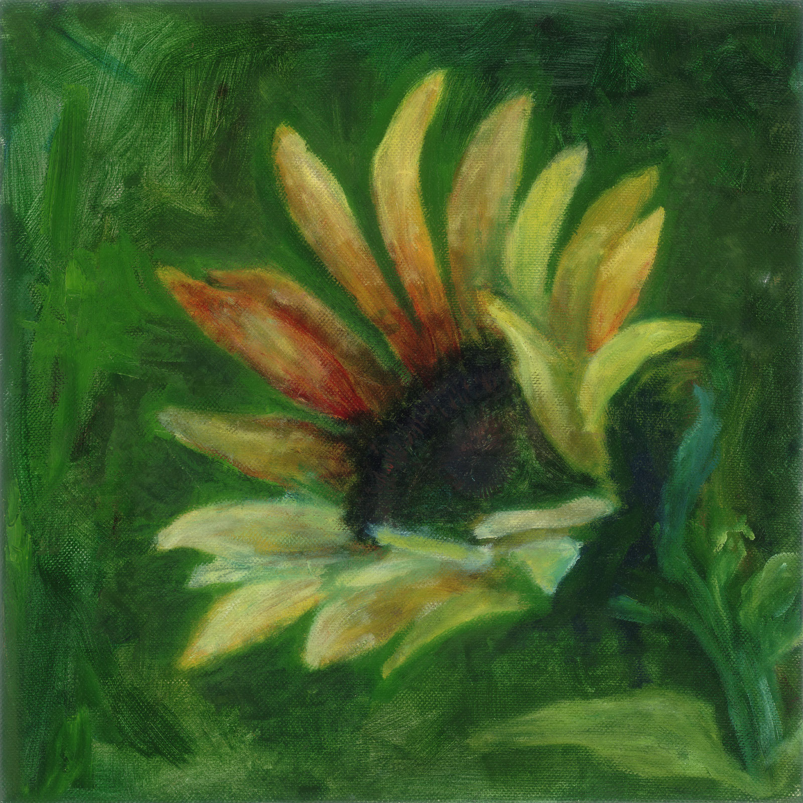 Sunflowers-Spencer-Poulter-12-x-12